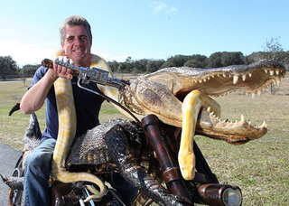 Illustration for article titled Got A Hundred Bucks? Wanna Win A Bike Made From An Alligator?